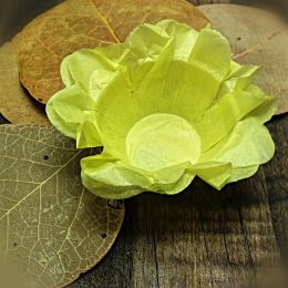 forminhas-para-doces