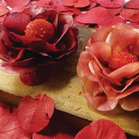 Forminhas para doces